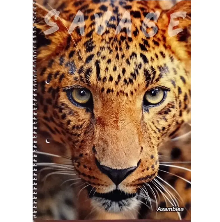 CUADERNO UNIVERSITARIO 80H CUADRICULADO ASAMBLEA AS190743