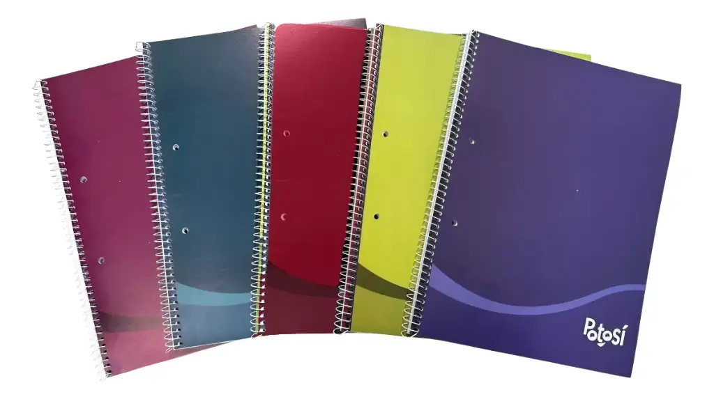 CUADERNO 42H RAYADO TB ANILLADO 16X21 POTOSI