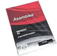 REPUESTO 48H ASAMBLEA RAYADO A4  